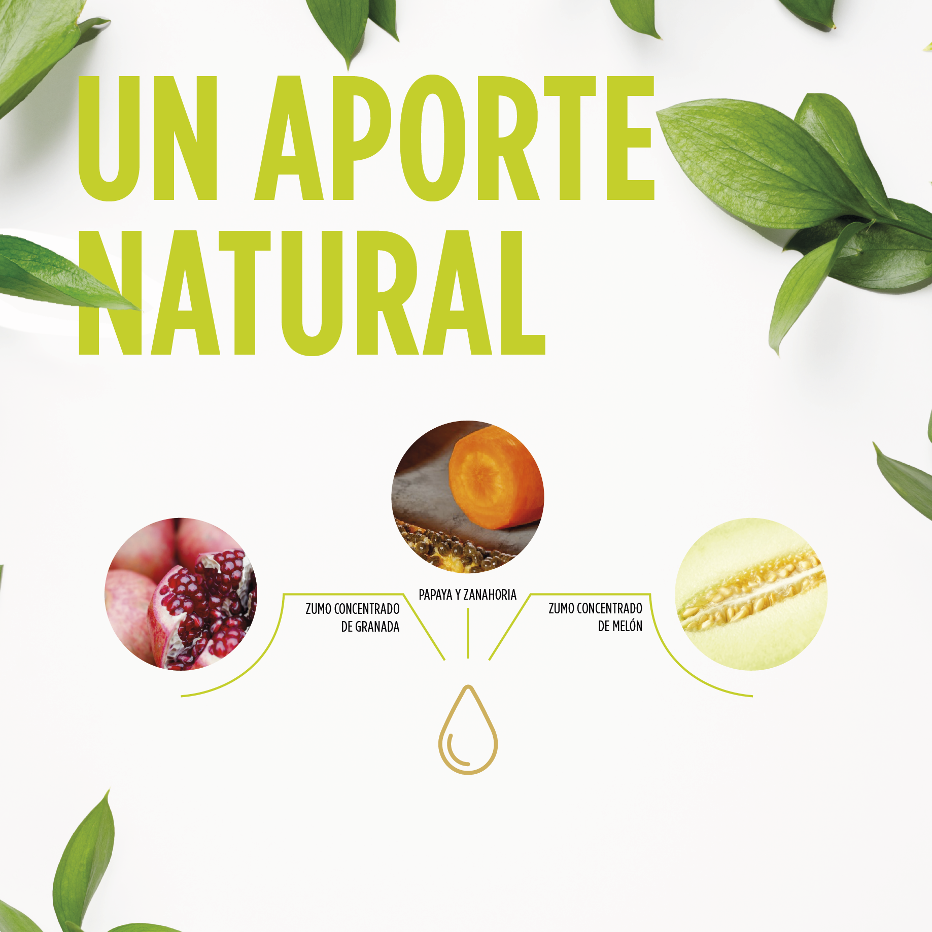 LOMBRIFIN AYUDA INTESTINAL JARABE 250 ml. ELADIET. - Imagen 3