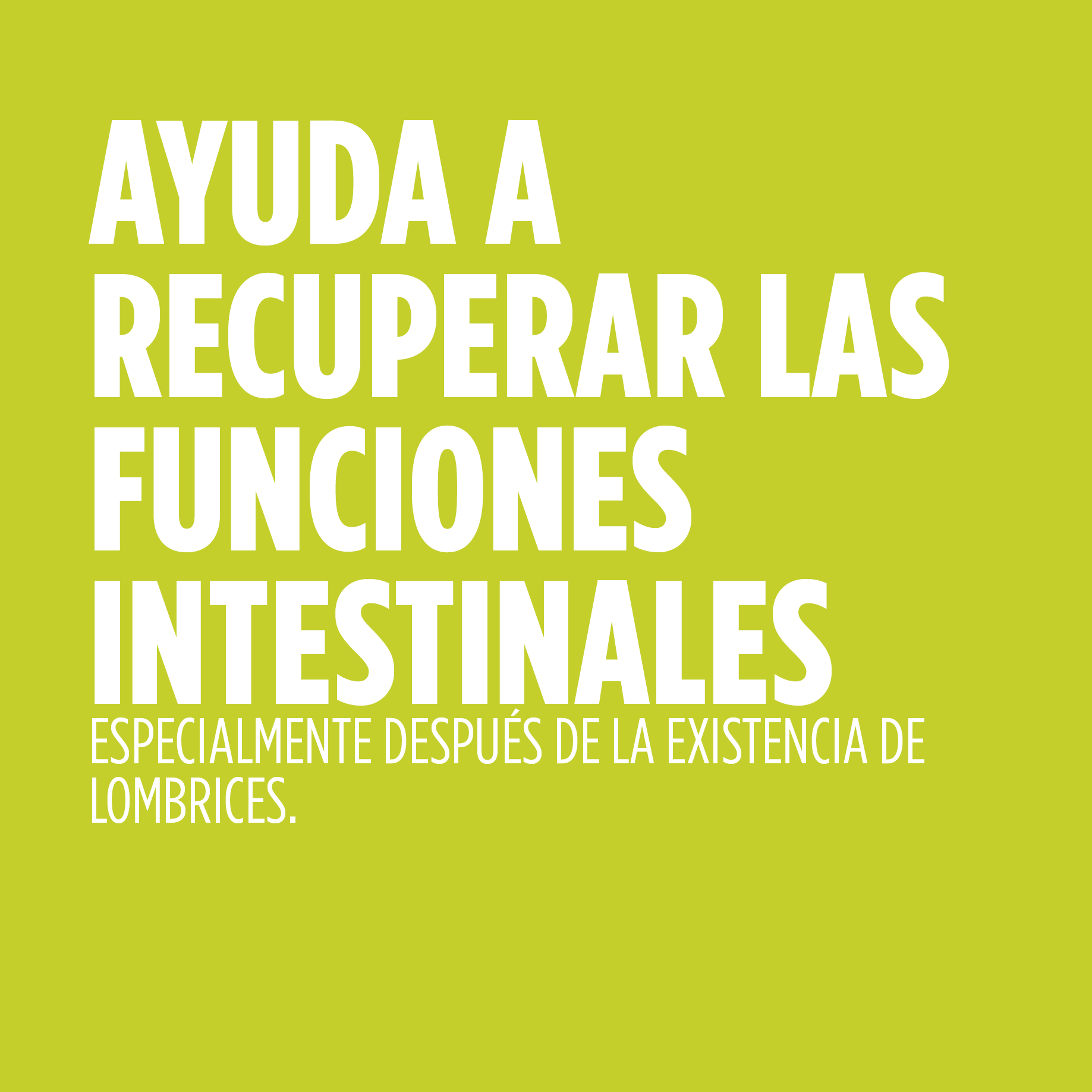 LOMBRIFIN AYUDA INTESTINAL JARABE 250 ml. ELADIET. - Imagen 4