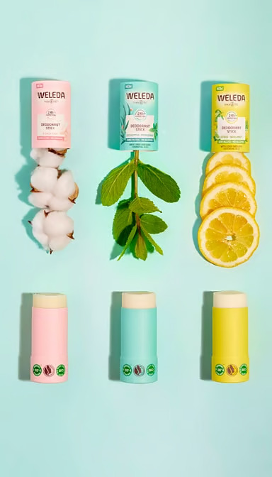 Desodorante Stick Eucaliptus 50 g – Weleda • 24 h, 100 % natural, sin alcohol ni sales de aluminio - Imagen 3