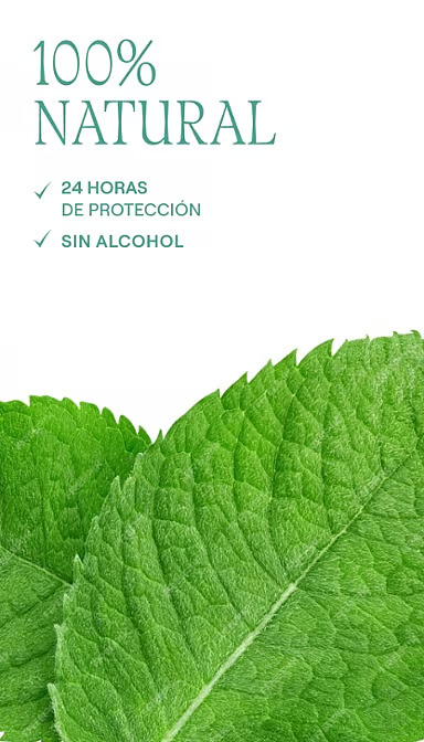 Desodorante Stick Eucaliptus 50 g – Weleda • 24 h, 100 % natural, sin alcohol ni sales de aluminio - Imagen 4